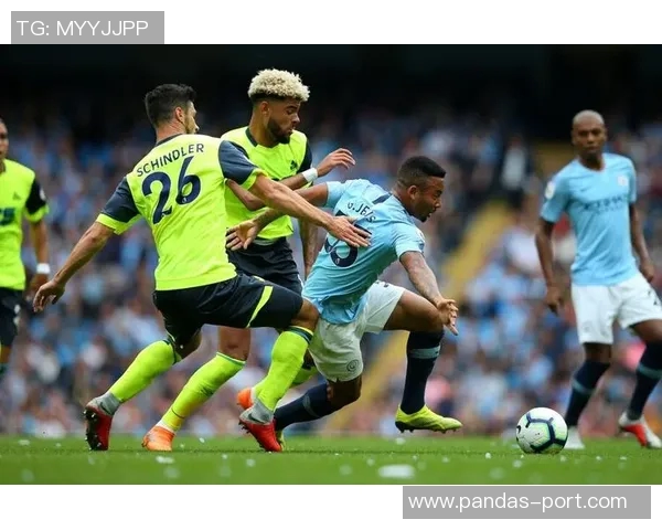 德尼斯扎卡里亚的足球之路与未来发展展望